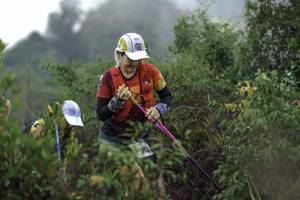 BIB: 
                            <button type="button" onclick="openModal(24759930)" class="btn btn-primary btn-sm float-right btn-popup" data-toggle="modal" data-target=".modal-high-quality">
                        <i class="fas fa-shopping-cart"></i> Add to Cart
                    </button>
                                            <button type="button" onclick="isThisMe(24759930, true)" class="btn btn-success btn-sm float-right btn-popup btn-isme hidden" data-toggle="tooltip" data-placement="bottom" title="นี่คือรูปของคุณใช่ไหม คลิกที่นี่เพื่อเอาเข้าอัลบั้ม">
                        <i class="fas fa-plus"></i> Add to album
                    </button>
                    <button type="button" onclick="isThisMe(24759930, false)" class="btn btn-warning btn-sm float-right btn-popup btn-isnotme hidden">
                        <i class="fas fa-ban"></i> Remove from album
                    </button>